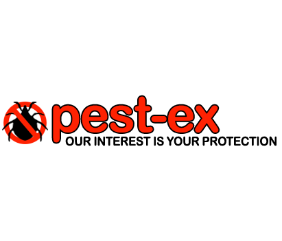 Pest Ex / Pestex Goodscare - Pestex the largest gathering ...